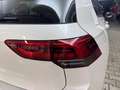 Volkswagen Golf VIII Lim. 2.0TDI LED RFK ACC NAVI SITZH Weiß - thumbnail 17