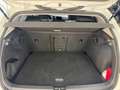 Volkswagen Golf VIII Lim. 2.0TDI LED RFK ACC NAVI SITZH Weiß - thumbnail 14