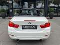 BMW 435 435i Cabrio High Exe 306PK|Airscarf|Head-Up|Memory Blanc - thumbnail 5