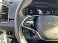 Skoda Karoq Selection 1.5 TSI AHK Pano Navi DigiCock M Weiß - thumbnail 22