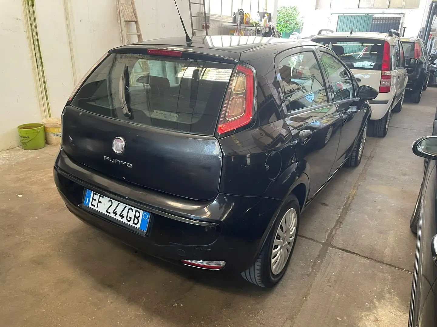 Fiat Punto Evo Punto III 2009 Evo 5p 1.3 mjt Active s Nero - 2