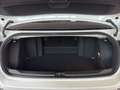 Volkswagen T-Roc R-Line 1.5 TSI DSG *Navi*Beats*W Weiß - thumbnail 15