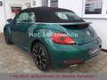 Volkswagen Beetle 1.4TSI Design Navi AppCon. SHZ 2xPDC Verde - thumbnail 4