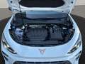 CUPRA Terramar 2.0 TSI 4Drive DSG VZ | AHK | Pano | Sennheiser Weiß - thumbnail 19