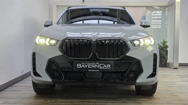 BMW X6 view 2