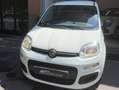 Fiat Panda Panda 1.2 Pop s Wit - thumbnail 6