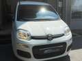 Fiat Panda Panda 1.2 Pop s Wit - thumbnail 2