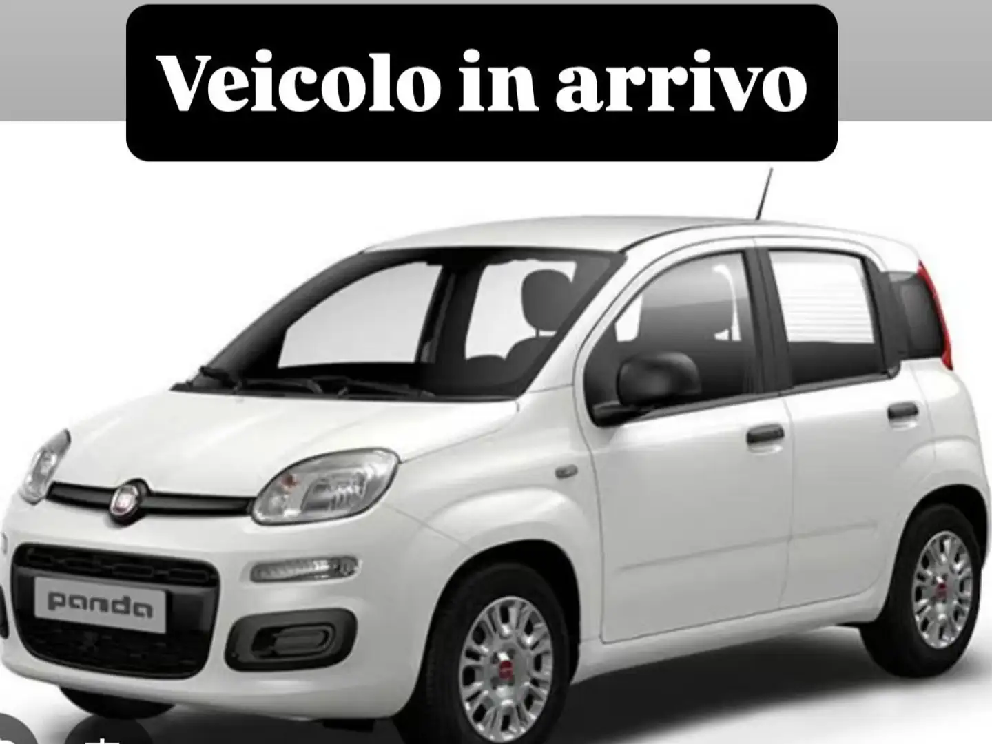 Fiat Panda Panda 1.2 Pop s Bianco - 1