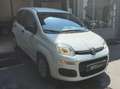 Fiat Panda Panda 1.2 Pop s Wit - thumbnail 1