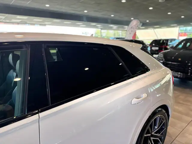 Audi Q8 view 19