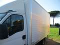 Iveco Daily 35C15 3000 E4 FURGONE CAPI APPESI **MOTORE ROTTO** Blanc - thumbnail 7