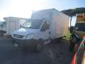 Iveco Daily 35C15 3000 E4 FURGONE CAPI APPESI **MOTORE ROTTO** Blanc - thumbnail 4