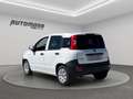 Fiat Panda 1.2 B/Gpl Van 2 posti Bianco - thumbnail 6