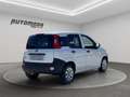 Fiat Panda 1.2 B/Gpl Van 2 posti Bianco - thumbnail 4
