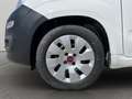 Fiat Panda 1.2 B/Gpl Van 2 posti Bianco - thumbnail 15