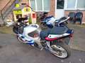 Suzuki GSX-R 750 Albastru - thumbnail 4