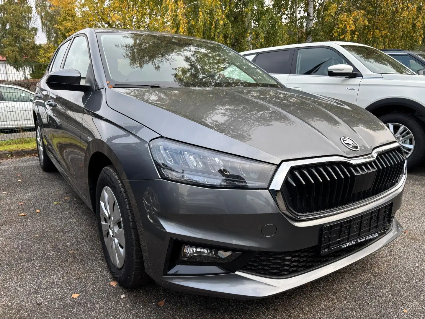Skoda Fabia Selection Gris - 1