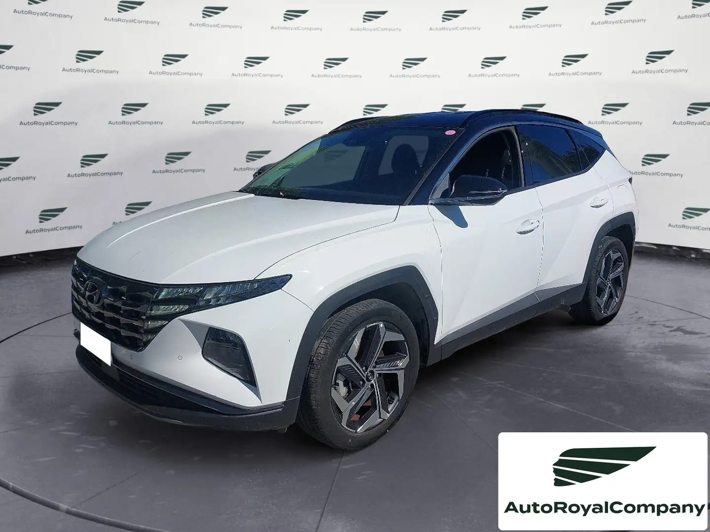 Hyundai TUCSON Tucson 1.6 HEV aut.Exellence Bianco - 1