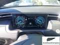 Hyundai TUCSON Tucson 1.6 HEV aut.Exellence Bianco - thumbnail 11