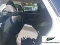 Hyundai TUCSON Tucson 1.6 HEV aut.Exellence Bianco - thumbnail 9