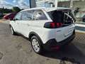 Peugeot 5008 Allure 130 NAVI+SITZHZG.+KAMERA Blanc - thumbnail 5