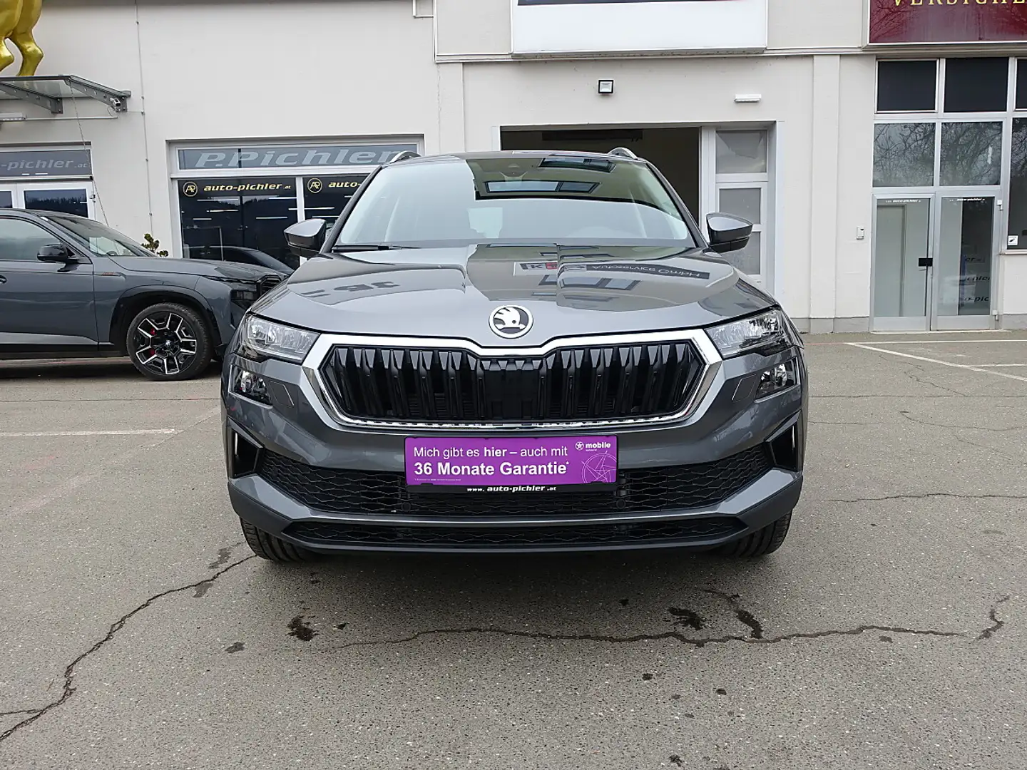 Skoda Karoq 2,0 TDI Selection DSG Grau - 2