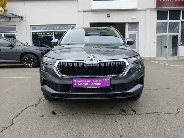 Skoda Karoq 2,0 TDI Selection DSG Ansicht 2