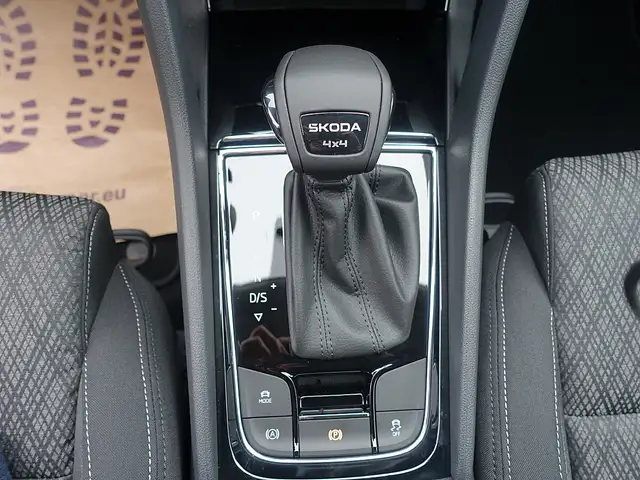 Skoda Karoq 2,0 TDI Selection DSG Ansicht 17