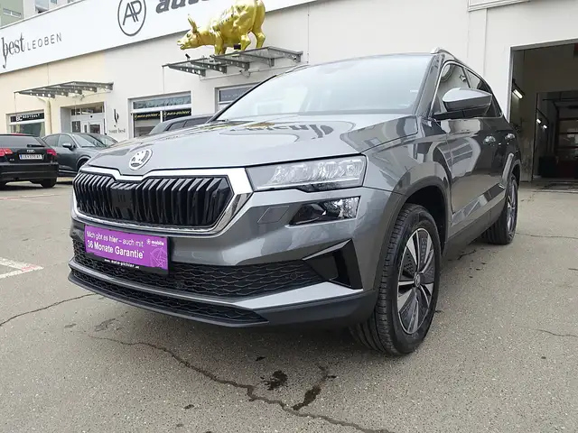 Skoda Karoq 2,0 TDI Selection DSG Ansicht 3