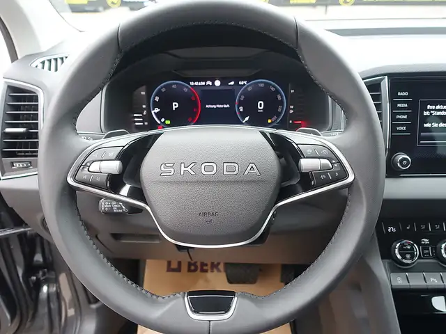 Skoda Karoq 2,0 TDI Selection DSG Ansicht 14