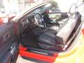 Ford Mustang GT Convertible V8 - 5 Liter mit 10 Gang Automatik Rojo - thumbnail 7