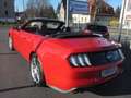 Ford Mustang GT Convertible V8 - 5 Liter mit 10 Gang Automatik Rot - thumbnail 5
