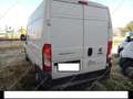 Fiat Ducato FURGONE 35 MH2 MJT 16V  115 CV 4 PORTE* Weiß - thumbnail 3