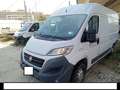 Fiat Ducato FURGONE 35 MH2 MJT 16V  115 CV 4 PORTE* Weiß - thumbnail 2