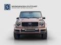 Mercedes-Benz G 500 G 500 STRONGER THAN DIAMONDS AMG 1of300 NP208  SHD Gris - thumbnail 8