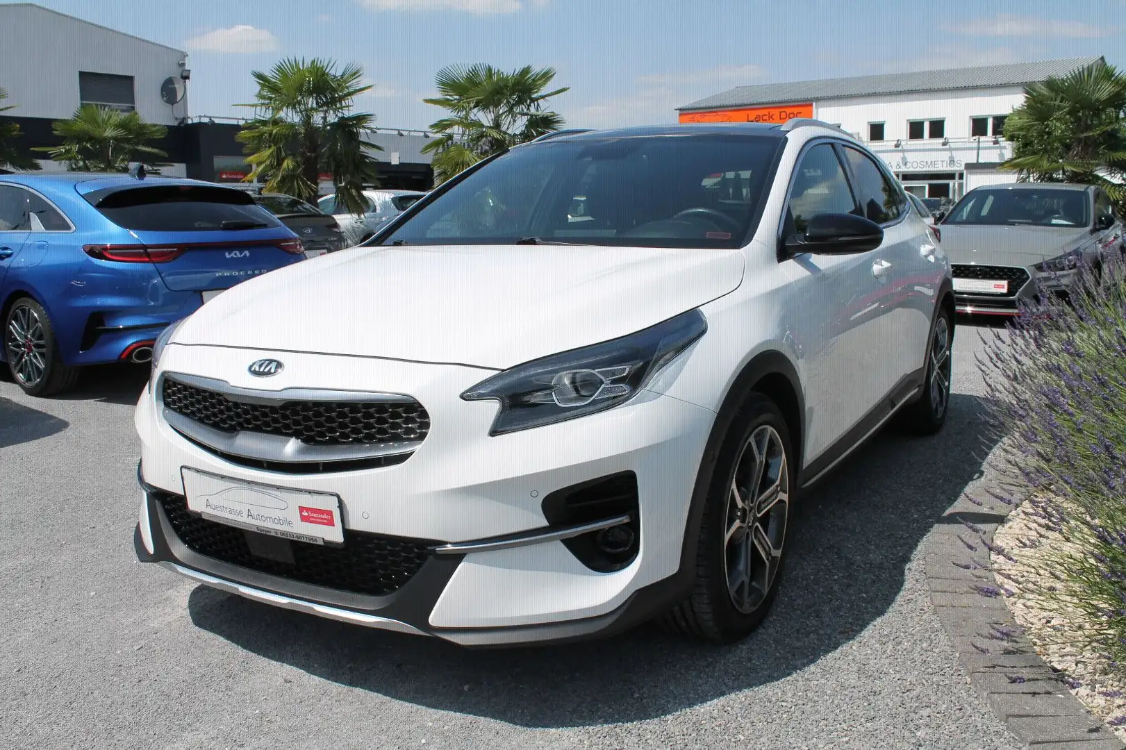 Kia XCeed DCT, 1.Hand, Vollausstattung, Garantie Blanc - 2