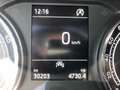 Skoda Fabia 4ª serie 1.0 MPI EVO 80 CV Style ( TETTO NERO/GRIG Gris - thumbnail 9