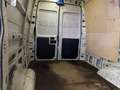 Iveco Daily 35S13 Hoch+Lang*AHK*Garantie* Weiß - thumbnail 31