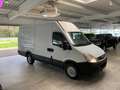 Iveco Daily 35S13 Hoch+Lang*AHK*Garantie* Weiß - thumbnail 17