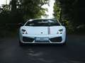 Lamborghini Gallardo Gallardo LP550-2 tricolore Wit - thumbnail 2
