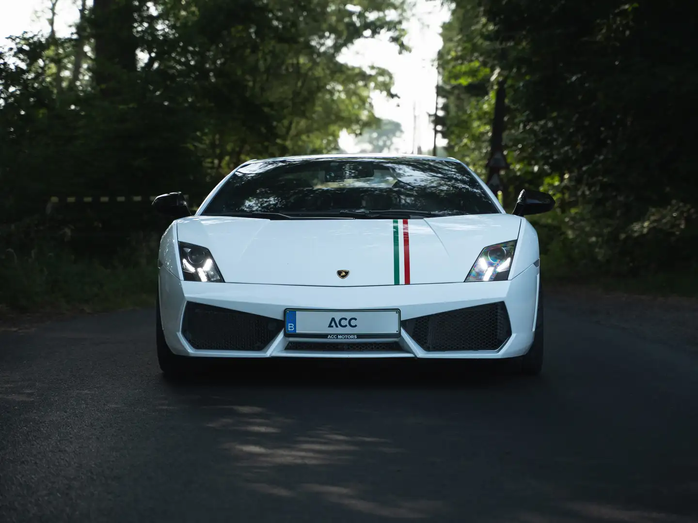 Lamborghini Gallardo Gallardo LP550-2 tricolore Wit - 2