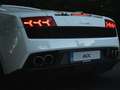 Lamborghini Gallardo Gallardo LP550-2 tricolore Wit - thumbnail 24