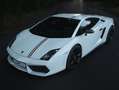 Lamborghini Gallardo Gallardo LP550-2 tricolore Wit - thumbnail 14
