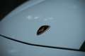 Lamborghini Gallardo Gallardo LP550-2 tricolore Wit - thumbnail 15