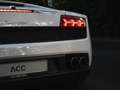 Lamborghini Gallardo Gallardo LP550-2 tricolore Wit - thumbnail 7