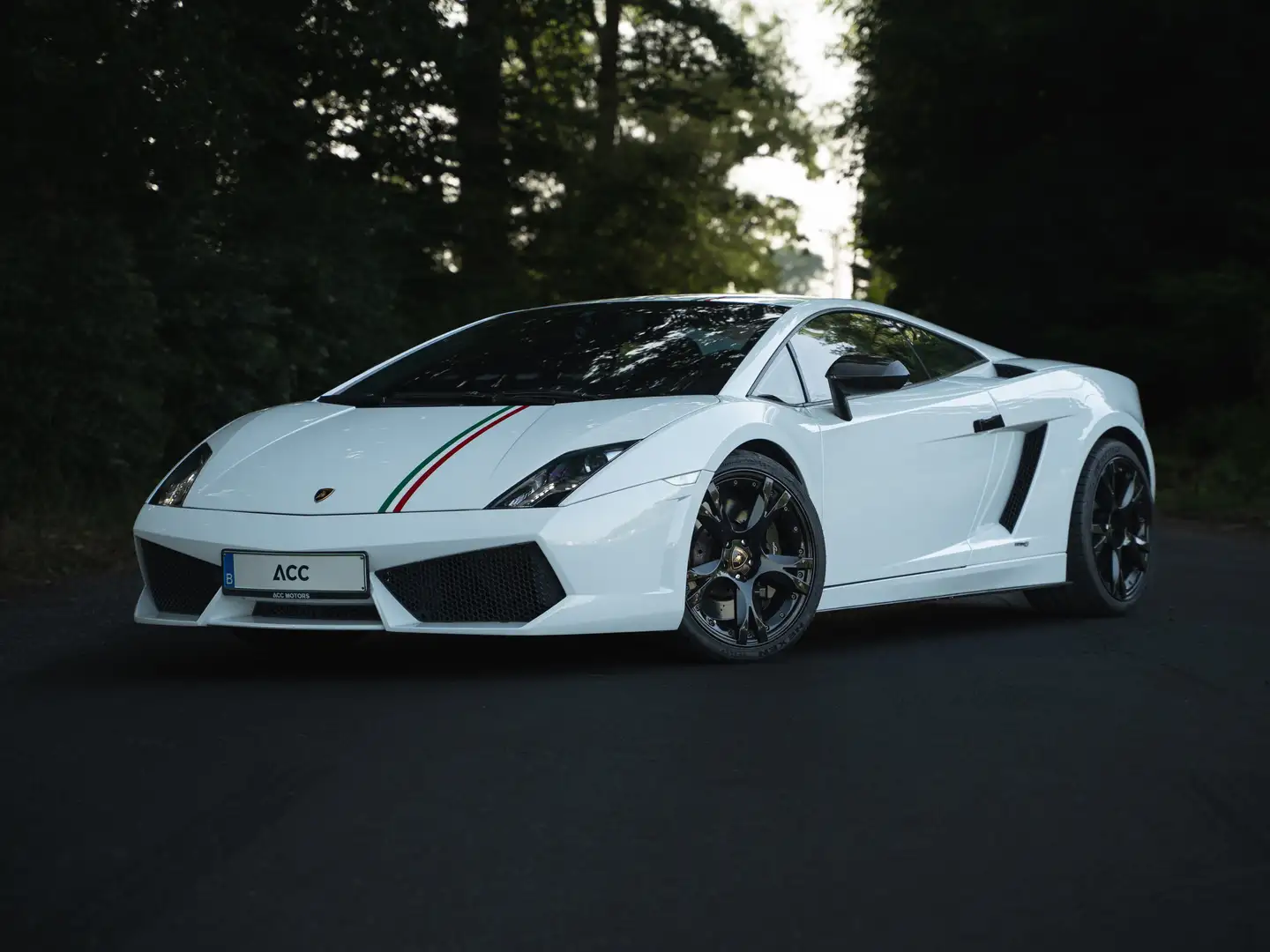 Lamborghini Gallardo Gallardo LP550-2 tricolore Wit - 1