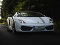 Lamborghini Gallardo Gallardo LP550-2 tricolore Wit - thumbnail 3