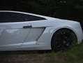 Lamborghini Gallardo Gallardo LP550-2 tricolore Wit - thumbnail 5