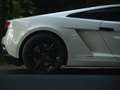 Lamborghini Gallardo Gallardo LP550-2 tricolore Wit - thumbnail 10