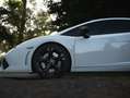 Lamborghini Gallardo Gallardo LP550-2 tricolore Wit - thumbnail 4